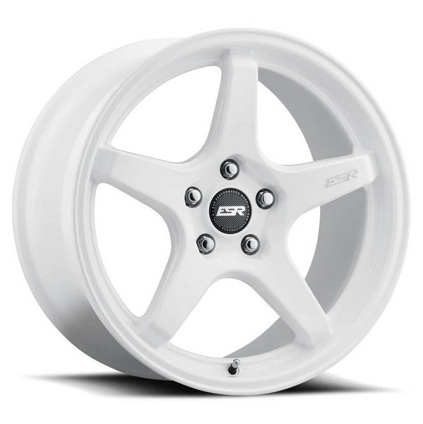 ESR AP5C GLOSS WHITE 19x9.5 +22 CUSTOM 72.6